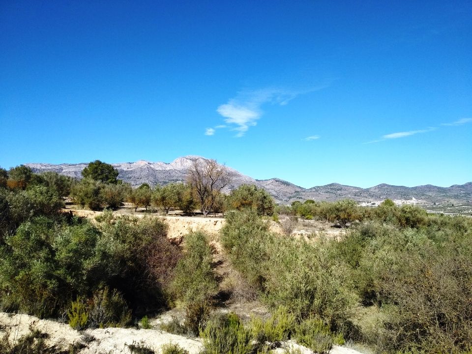 Tomt i Benimarfull, Alicante - bilde 3