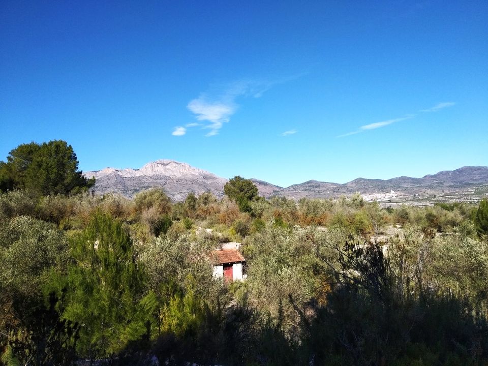 Tomt i Benimarfull, Alicante - bilde 4