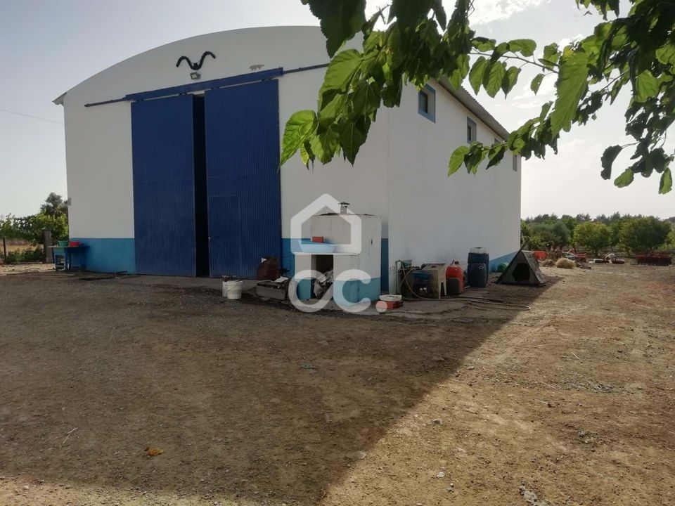 Farm hus i Beja, Beja - foto 3