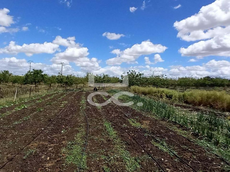 Farm hus i Beja, Beja - foto 4
