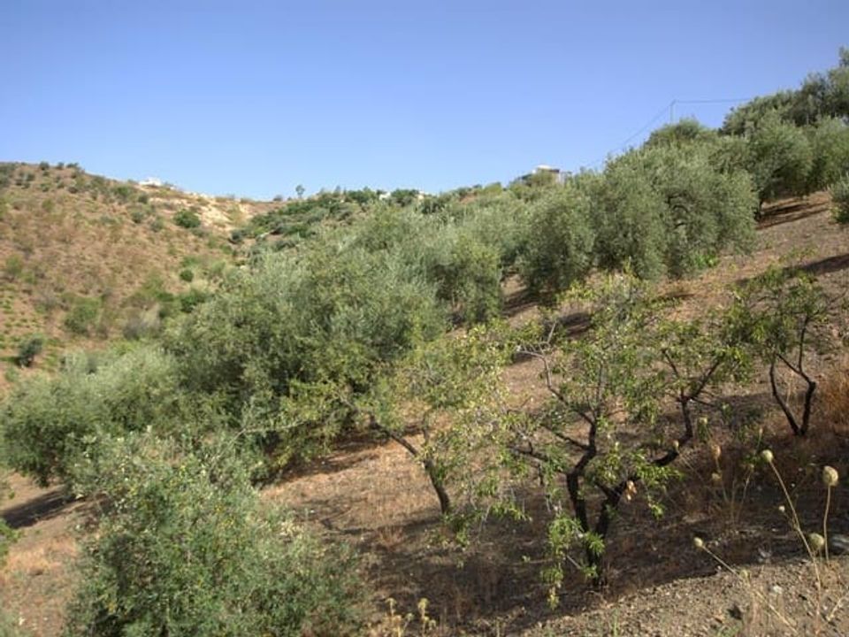 Finca i Sedella, Malaga - foto 3