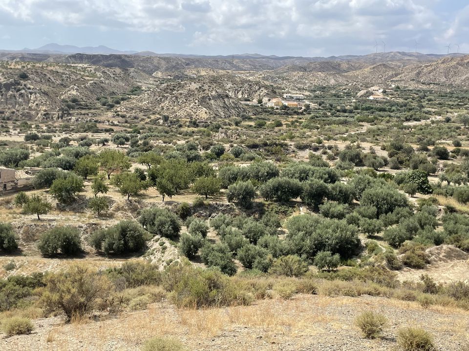 Helårsgrund i Huercal-Overa, Almeria - foto 2