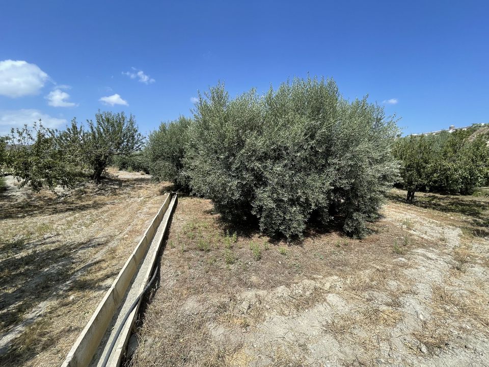 Helårsgrund i Huercal-Overa, Almeria - foto 3