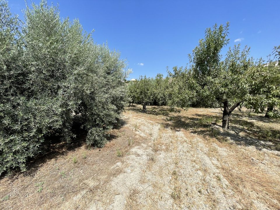 Helårsgrund i Huercal-Overa, Almeria - foto 4