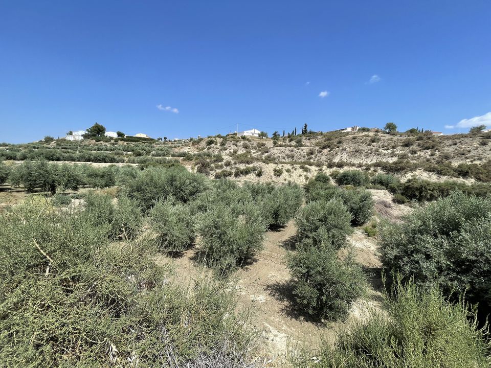 Helårsgrund i Huercal-Overa, Almeria - foto 5