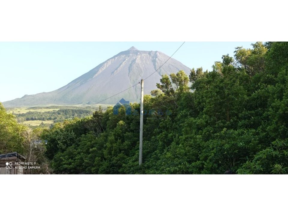 Helårsgrund i Santa luzia, Pico - foto 5