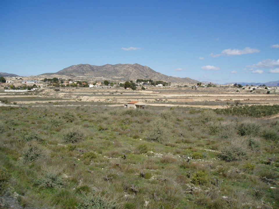 Helårsgrund i La Romana, Alicante - foto 1