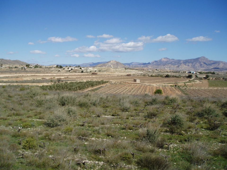 Helårsgrund i La Romana, Alicante - foto 2
