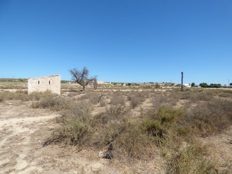 Helårsgrund i La Marina, Alicante - foto 5