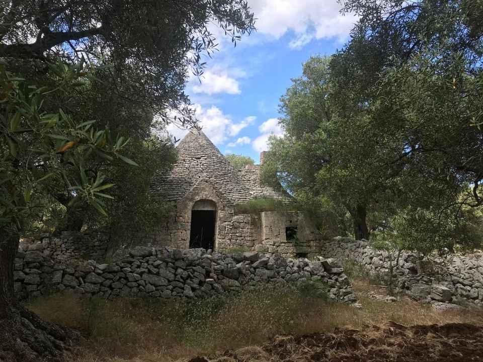 Casa de campo en Fasano, Brindisi - foto 3