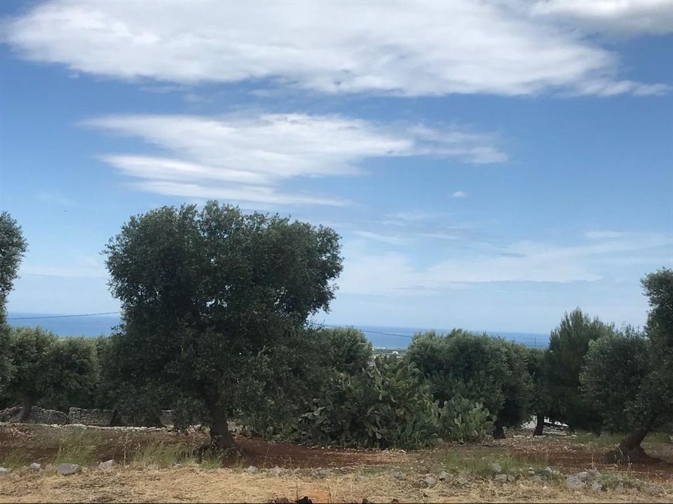 Casa de campo en Fasano, Brindisi - foto 5