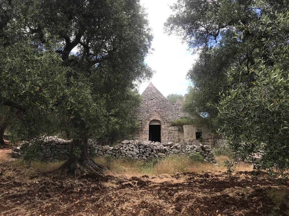 Casa de campo en Fasano, Brindisi - foto 2