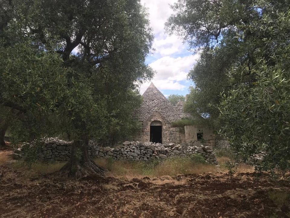 Casa de campo en Fasano, Brindisi - foto 1