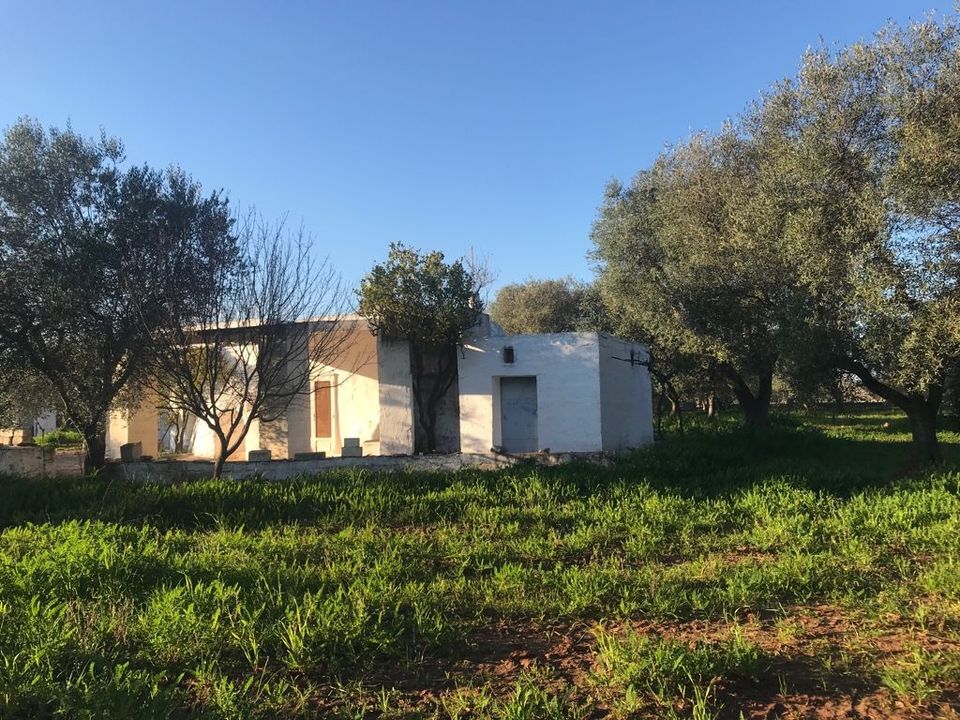 Landejendom i Ostuni, Brindisi - foto 5