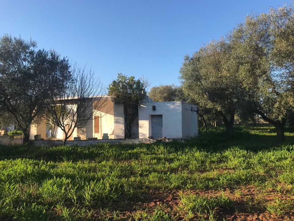 Landejendom i Ostuni, Brindisi - foto 3