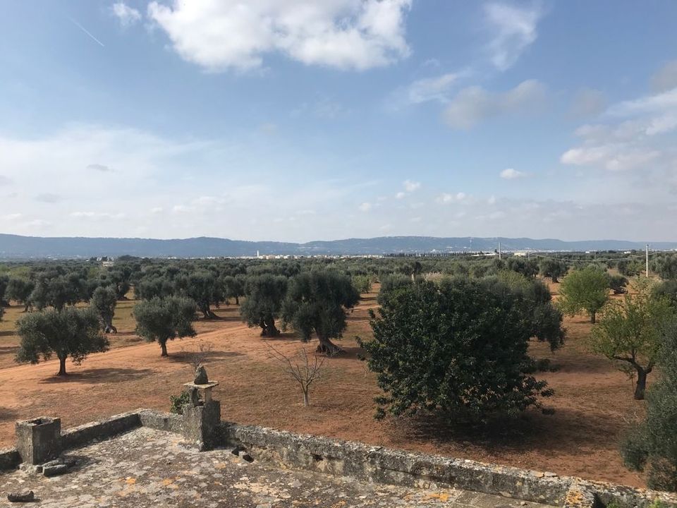 Landejendom i Fasano, Brindisi - foto 2