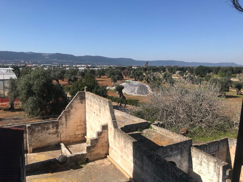 Casa de campo en Fasano, Brindisi - foto 5