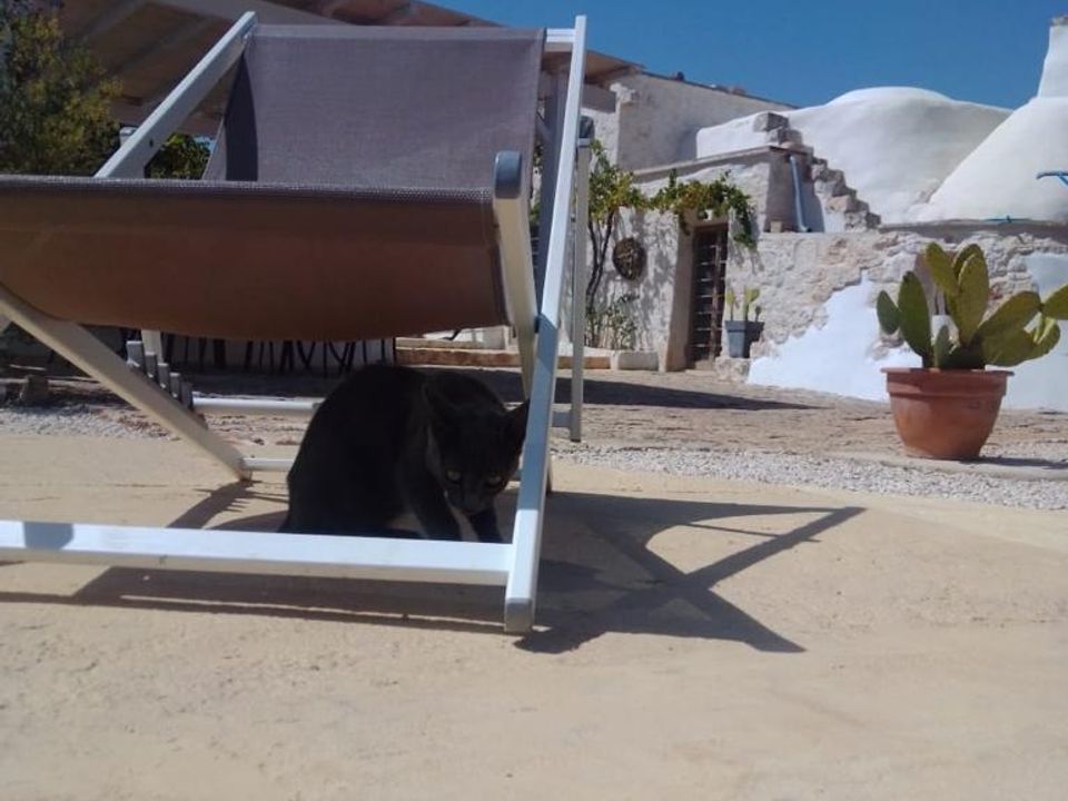 Landejendom i Ostuni, Brindisi - foto 3