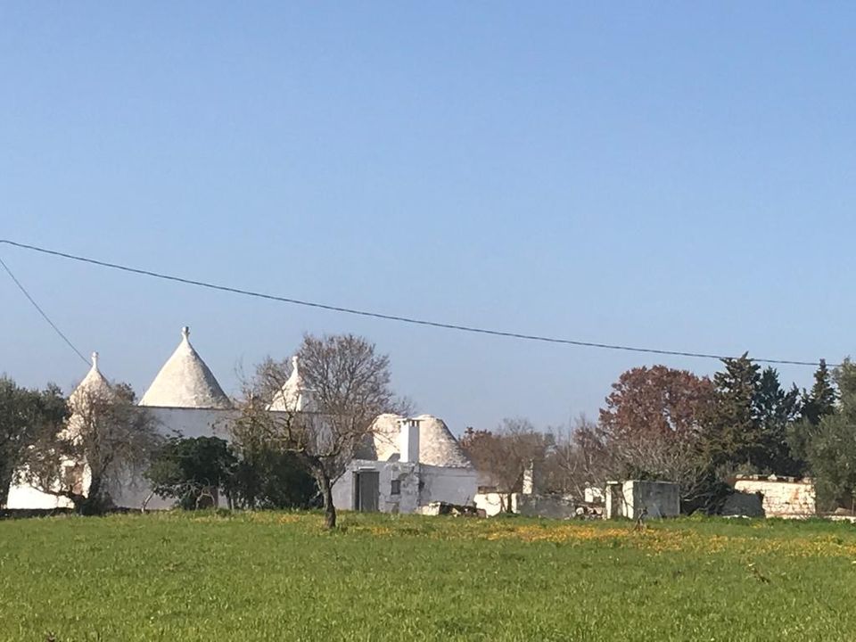 Landejendom i Ostuni, Brindisi - foto 2