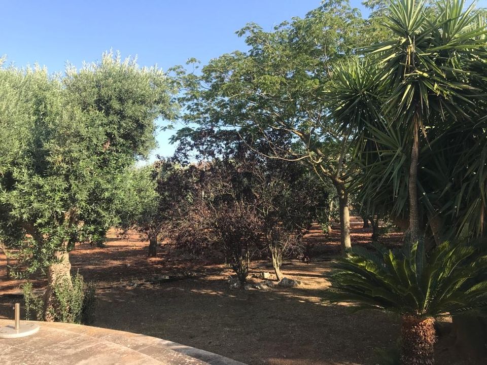 Landejendom i Ostuni, Brindisi - foto 5