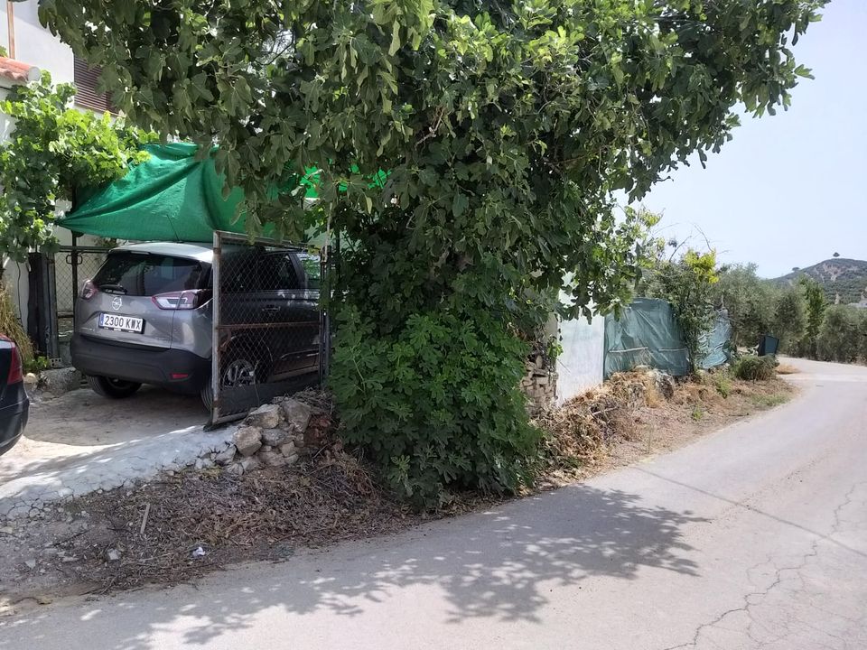 Landejendom i Villanueva De Algaidas, Malaga - foto 4