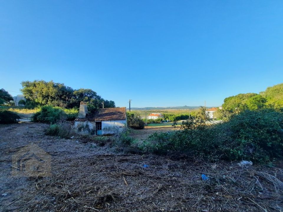 Villa i Alcobaca, Leiria - foto 2