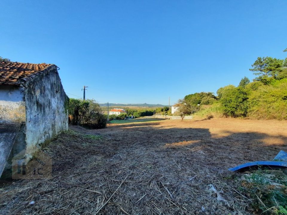 Villa i Alcobaca, Leiria - foto 4