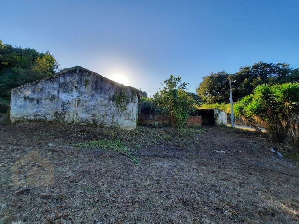 Villa i Alcobaca, Leiria - foto 5