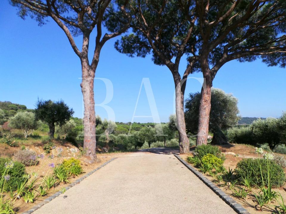 Landejendom i Saint-Tropez, Var - foto 2