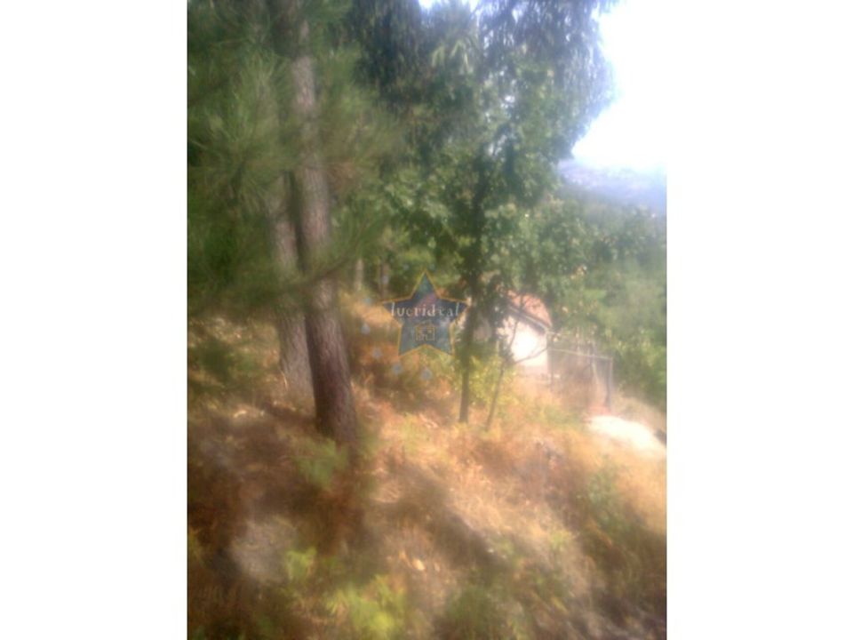 Helårsgrund i Cinfaes, Viseu - foto 2