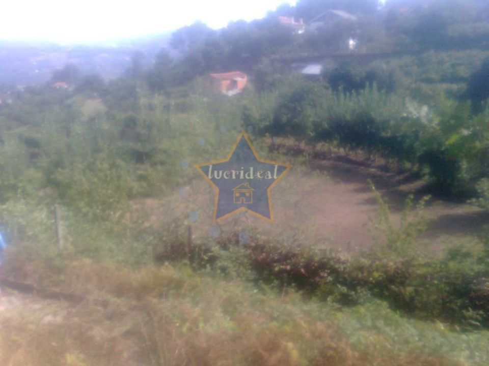 Helårsgrund i Cinfaes, Viseu - foto 3