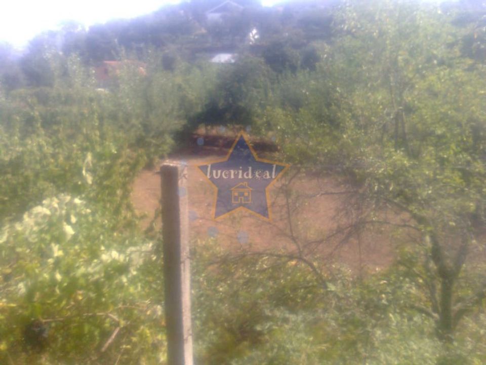 Helårsgrund i Cinfaes, Viseu - foto 4