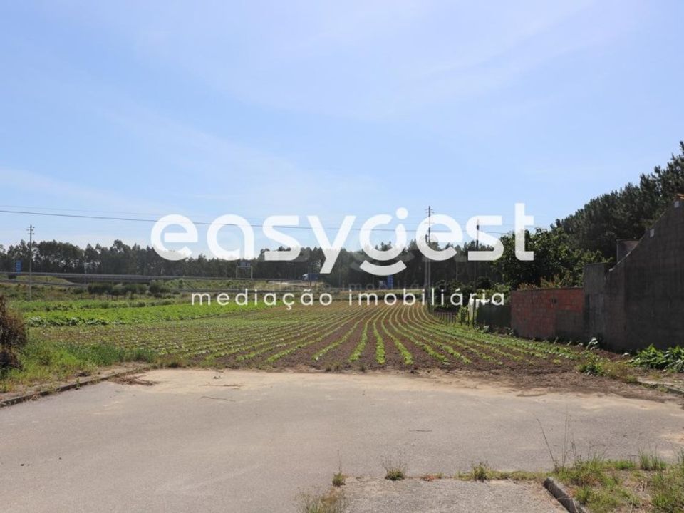 Helårsgrund i Pombal, Leiria - foto 3
