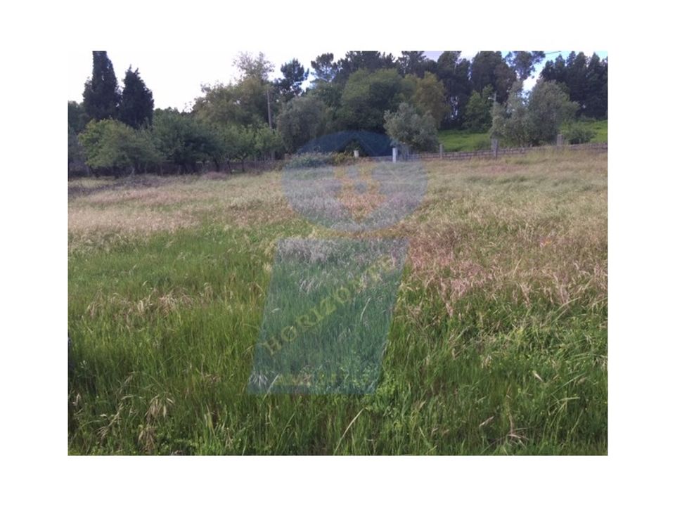 Farm i Sangalhos, Aveiro - foto 3