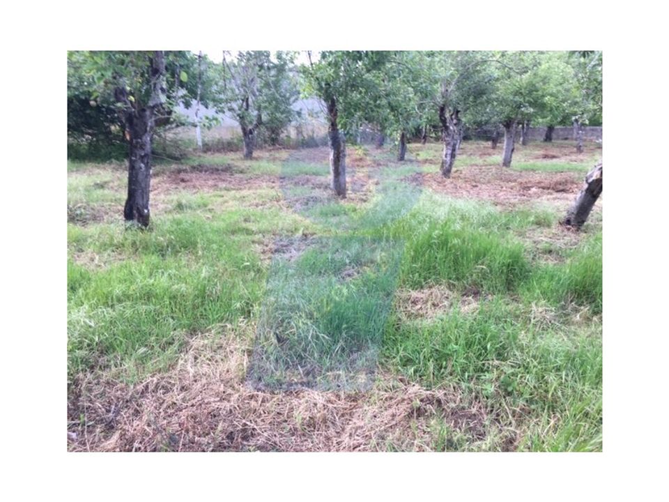 Farm i Sangalhos, Aveiro - foto 5