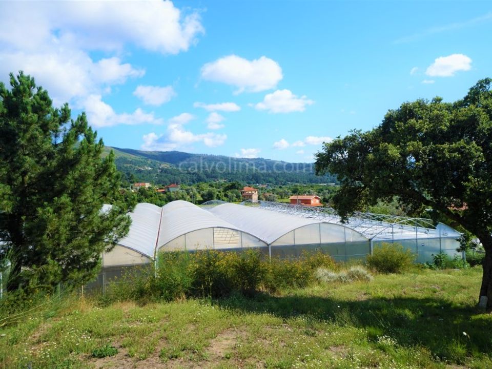 Helårsgrund i Valenca, Viana do Castelo - foto 3