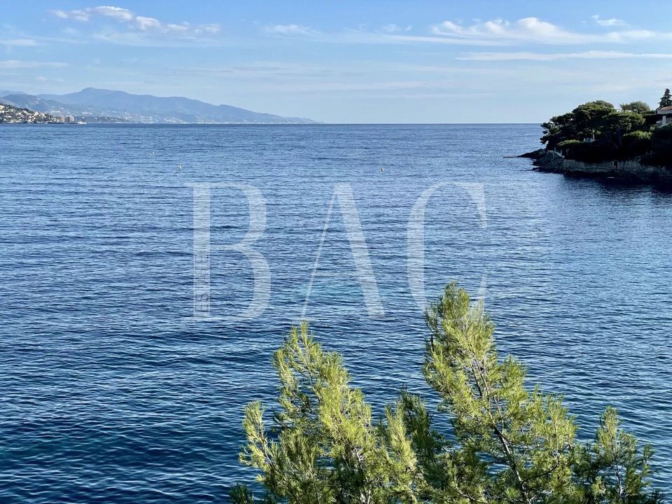 Villa i Saint-Jean-Cap-Ferrat, Alpes-Maritimes - foto 3
