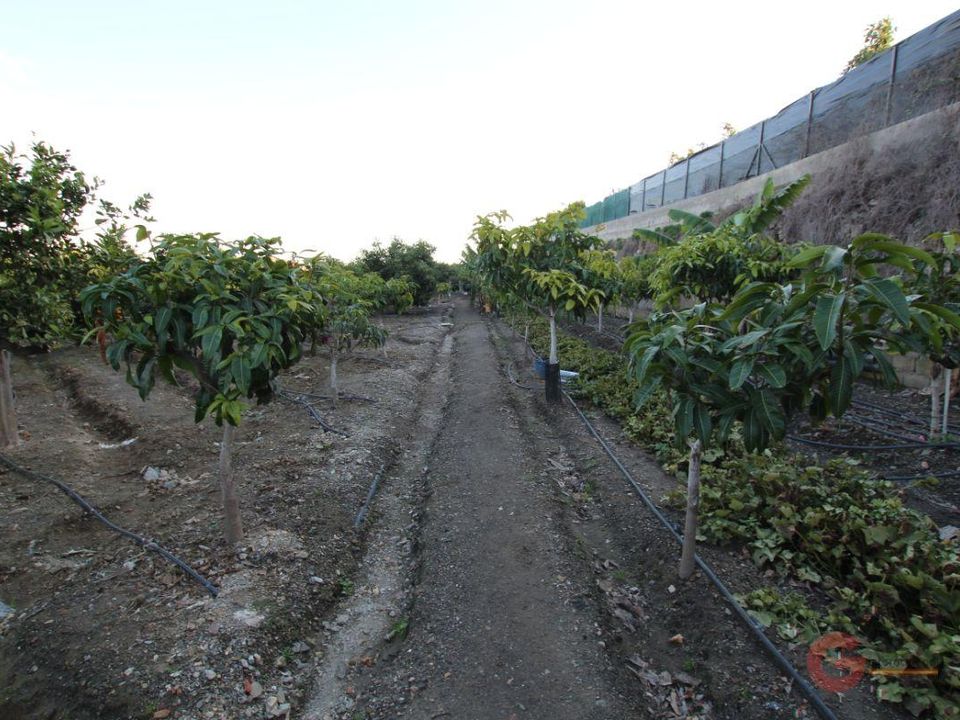 Finca i Salobrena, Granada - foto 2