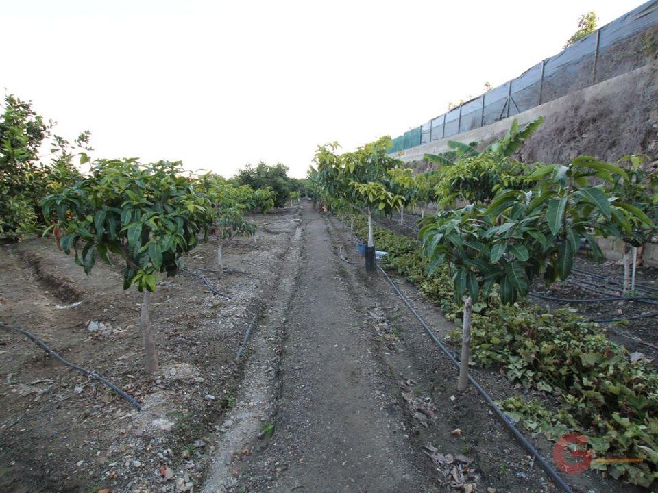 Finca i Salobrena, Granada - foto 3