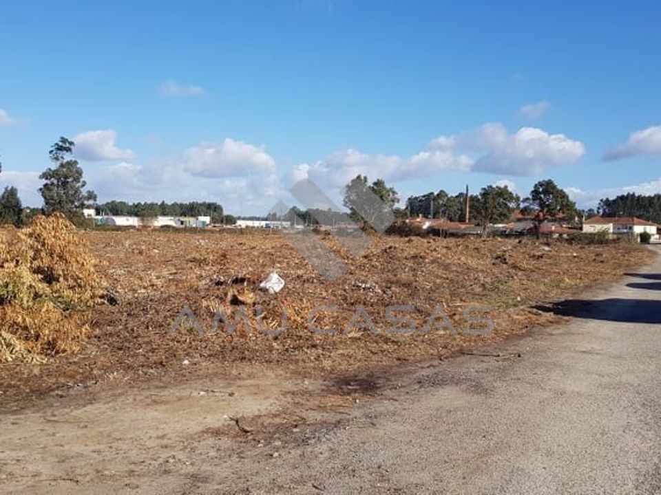 Helårsgrund i Estarreja, Aveiro - foto 5
