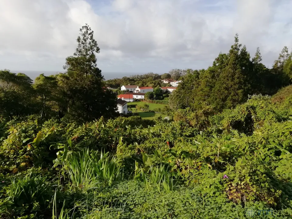 Helårsgrund i Horta, Faial - foto 2
