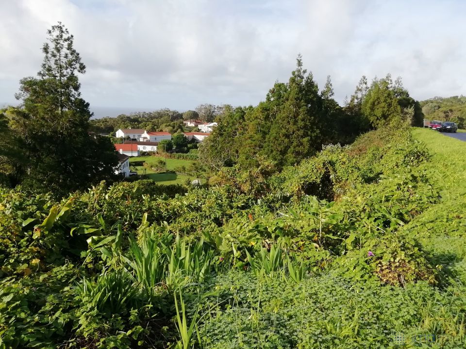 Helårsgrund i Horta, Faial - foto 3