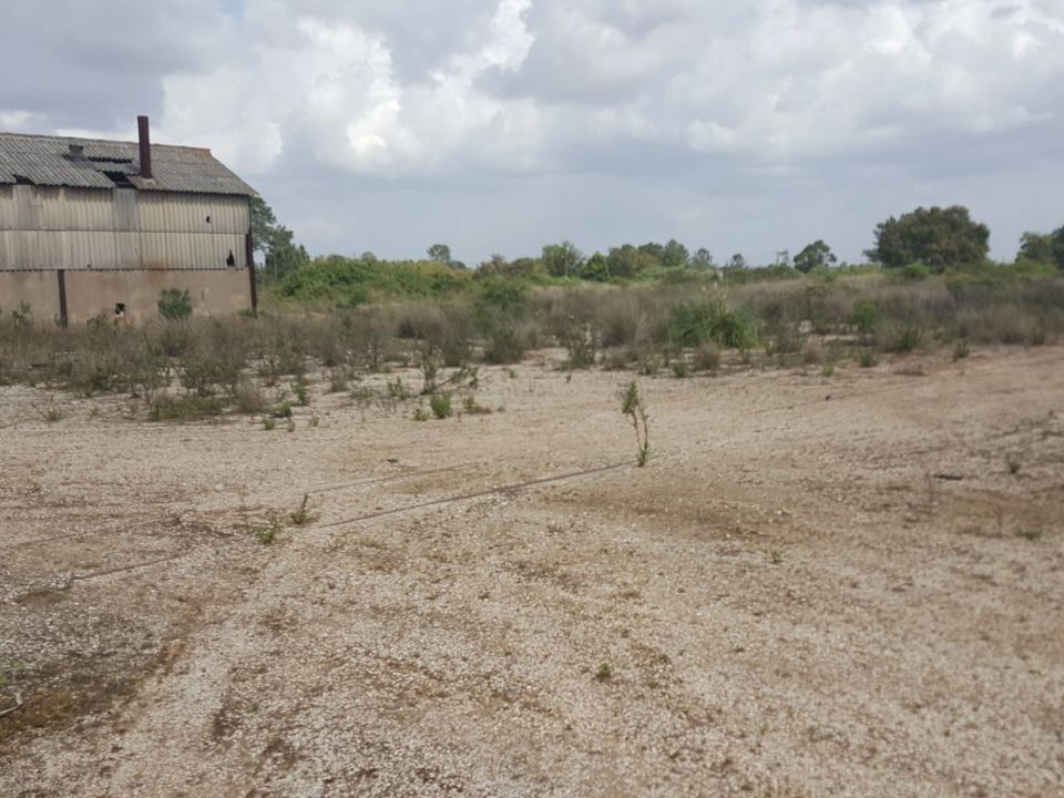 Erhvervsejendom i Cartaxo, Santarem - foto 2