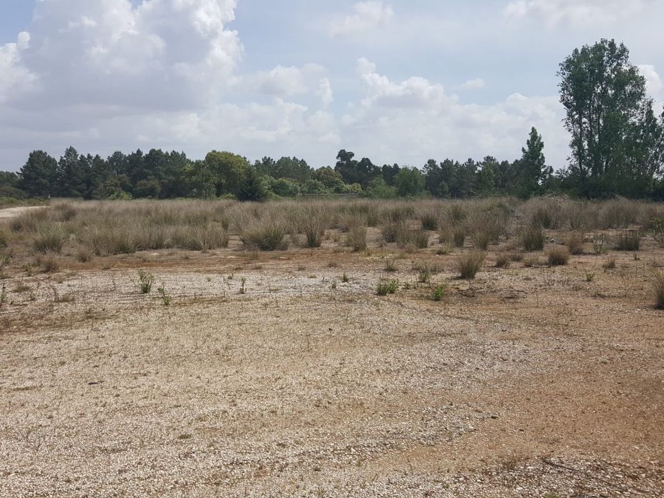 Erhvervsejendom i Cartaxo, Santarem - foto 3