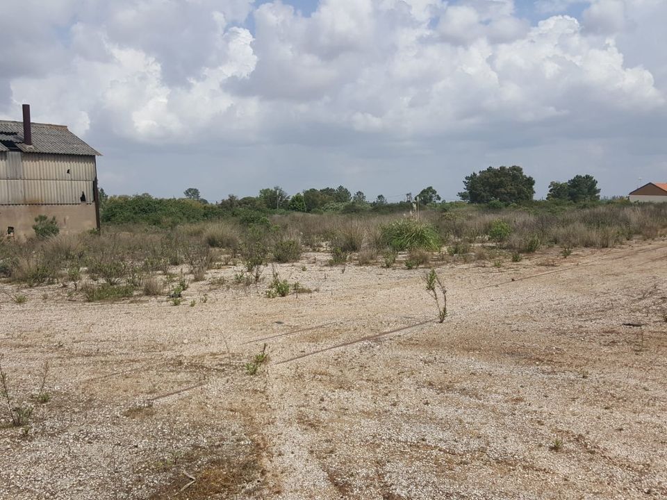Erhvervsejendom i Cartaxo, Santarem - foto 4