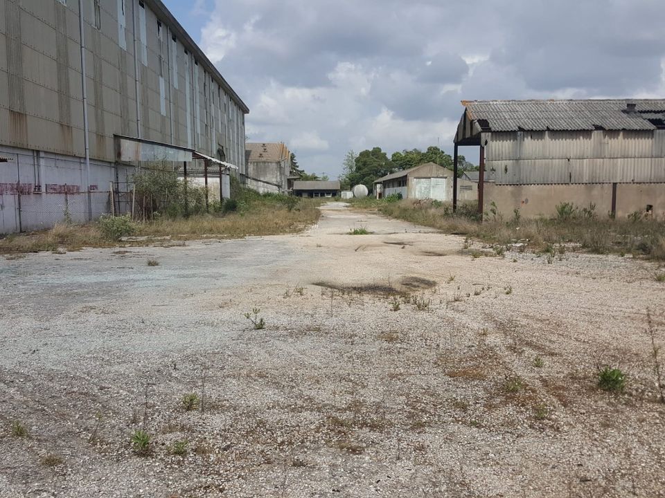 Erhvervsejendom i Cartaxo, Santarem - foto 5