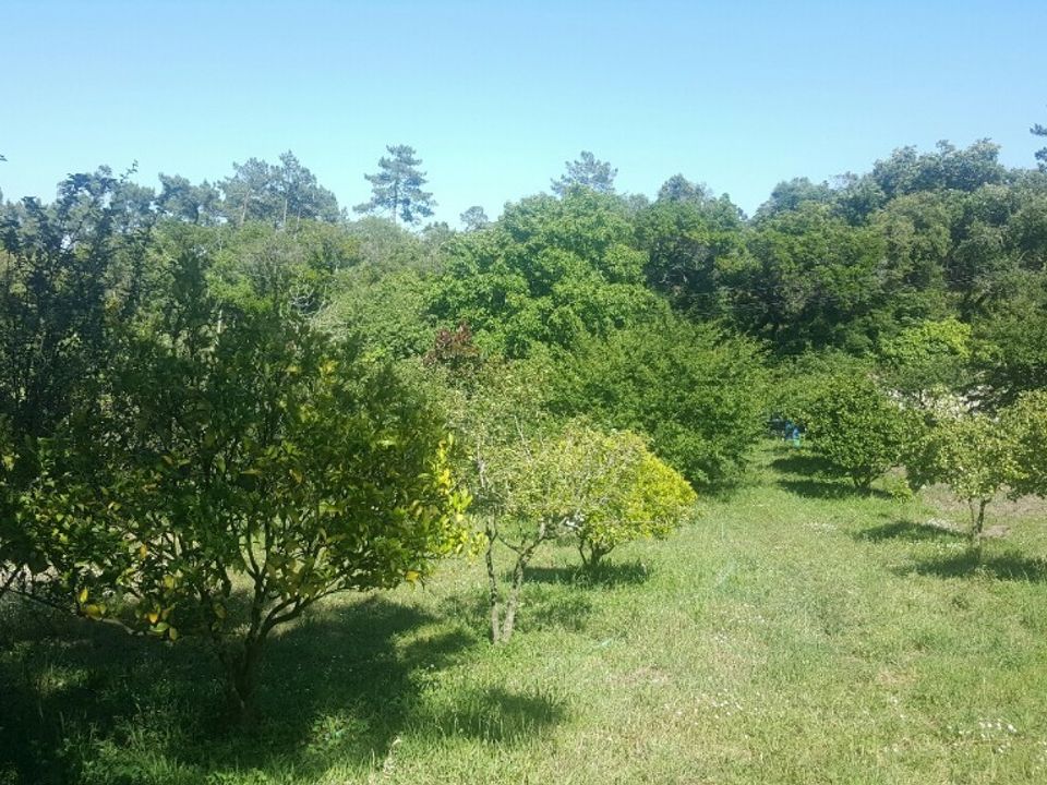 Helårsgrund i Alcanena, Santarem - foto 1