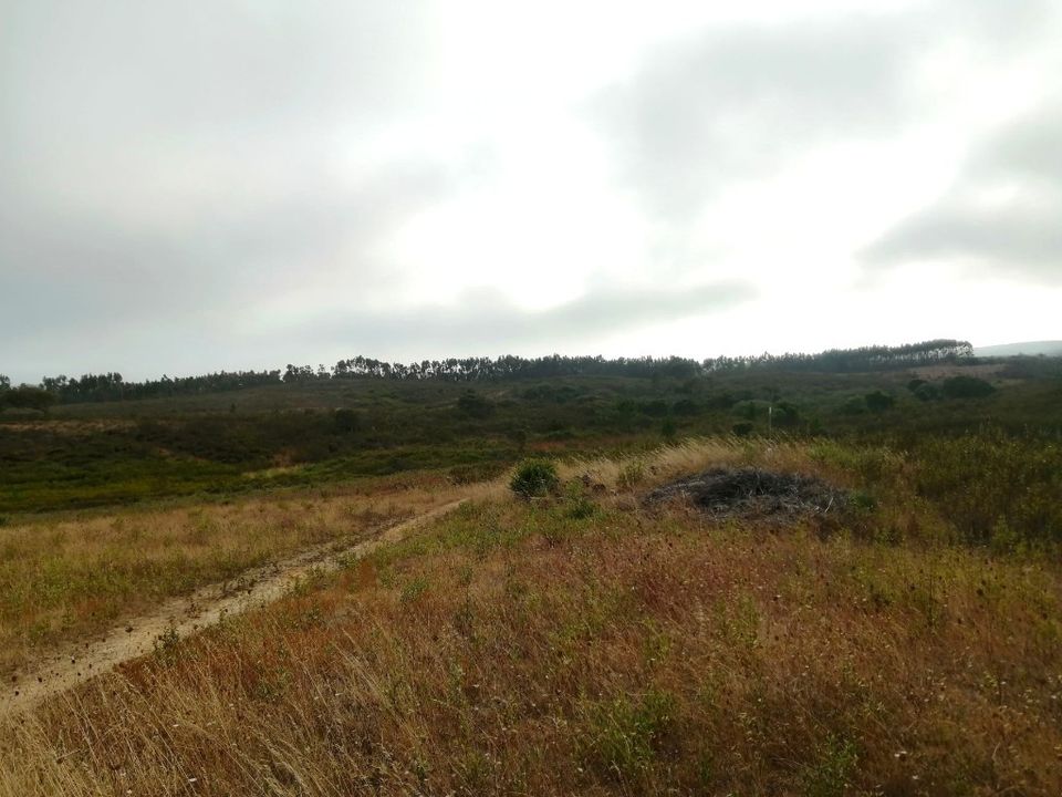 Helårsgrund i Aljezur, Faro - foto 2