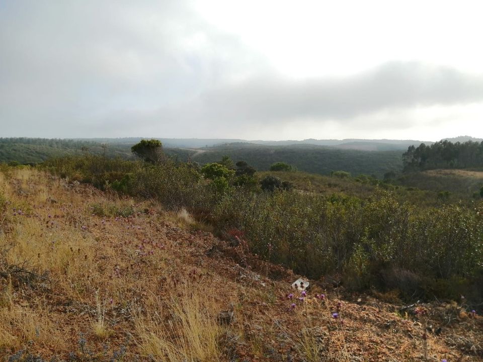 Helårsgrund i Aljezur, Faro - foto 3