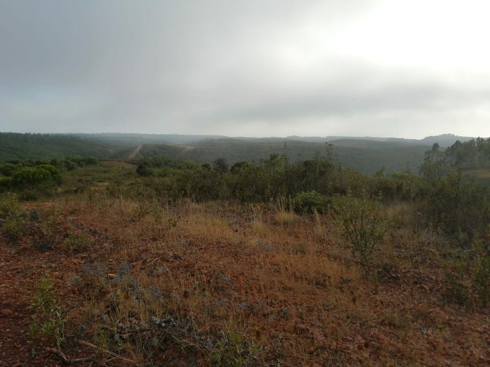 Helårsgrund i Aljezur, Faro - foto 4